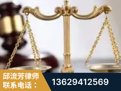 崇左-委托诉讼代理人出庭
